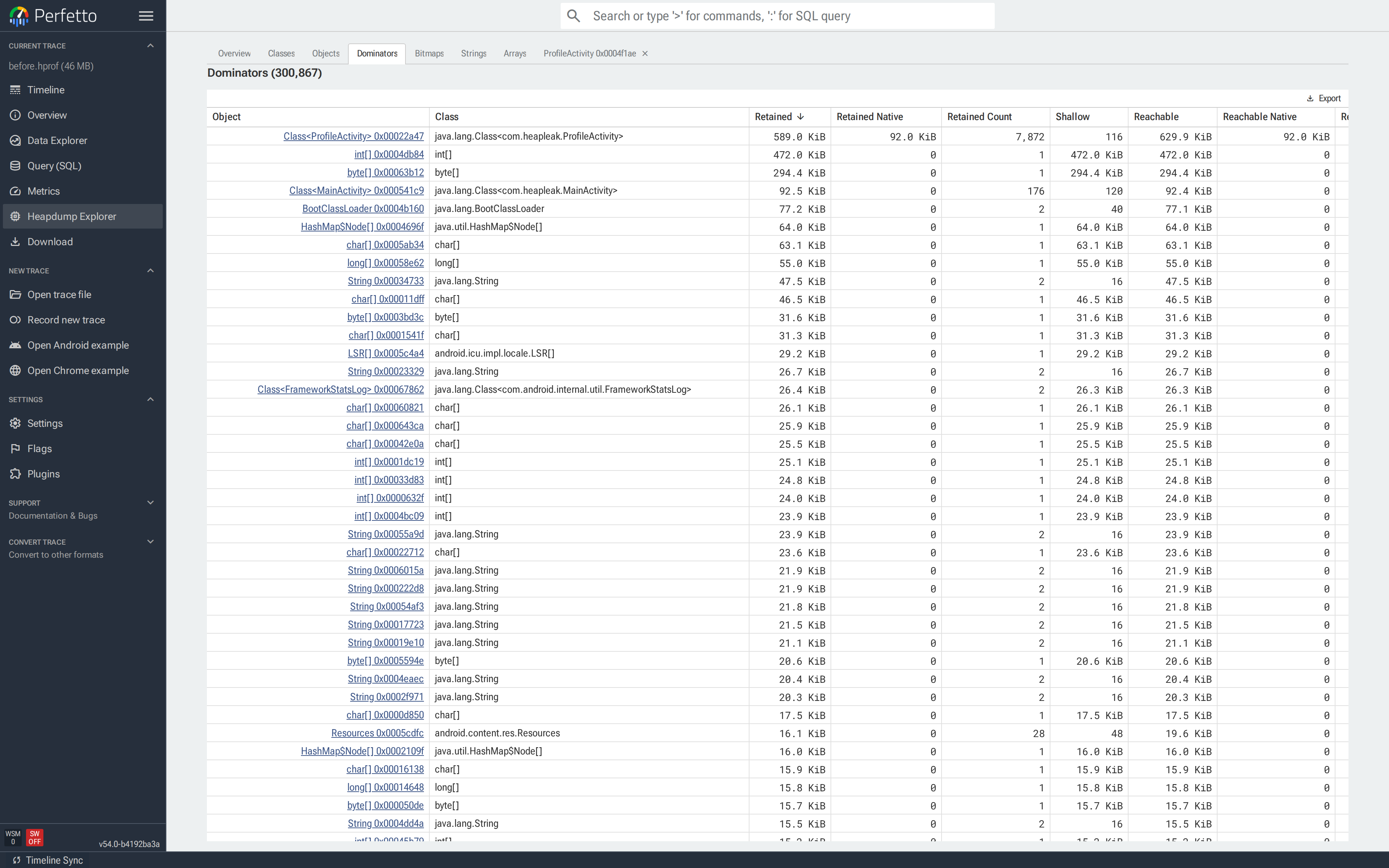 Dominators tab sorted by Retained; `Class<ProfileActivity>` (root type `STATIC`) and a `ProfileActivity` instance near the top, each retaining a large subgraph.