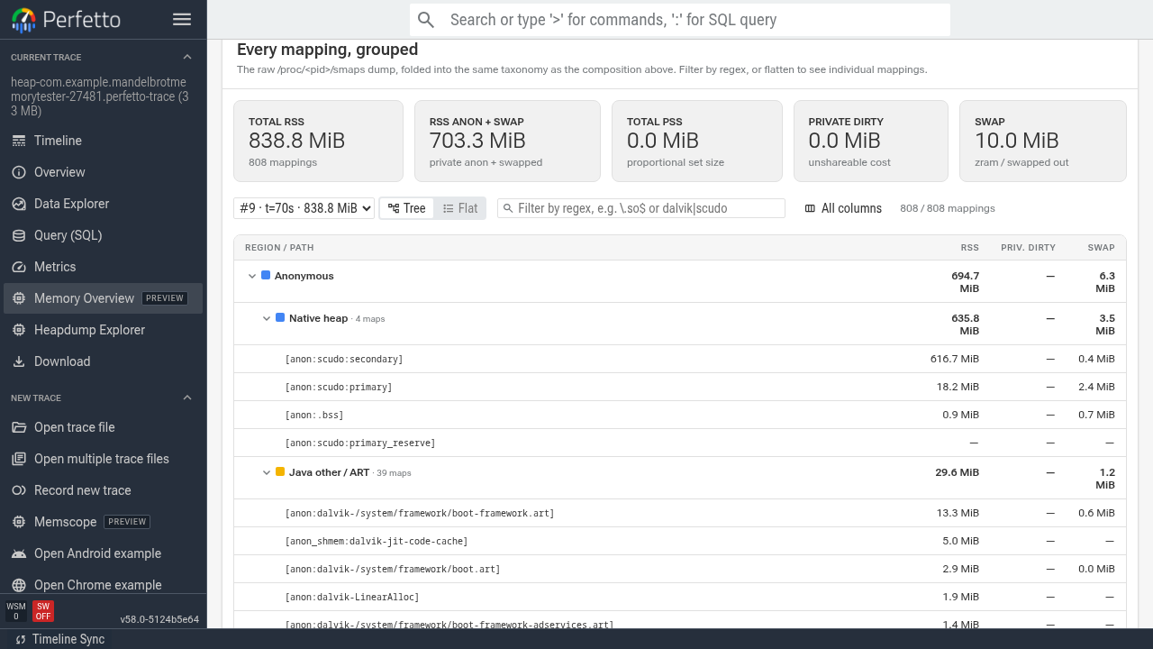 Smaps Detail tab showing the raw smaps mappings grouped by category